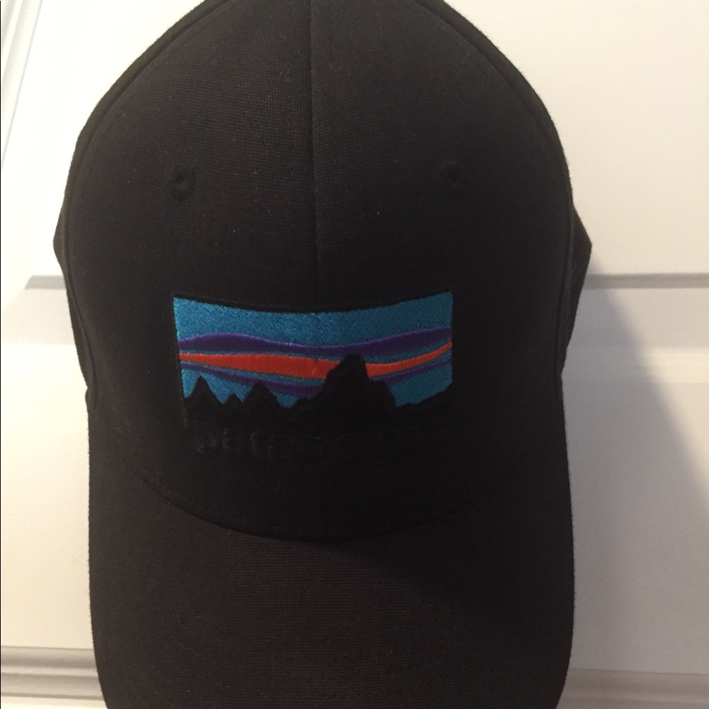 SnapBack Patagonia hat